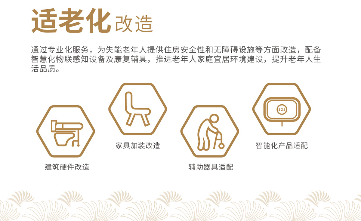适老化.jpg